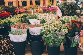 Colorful flower market display with tulips and hydrangeas