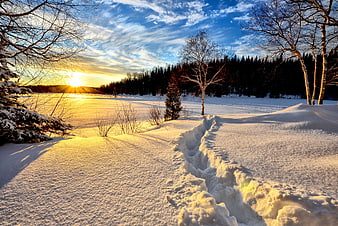 Winter sunset landscape with snow-covered ground and bare trees