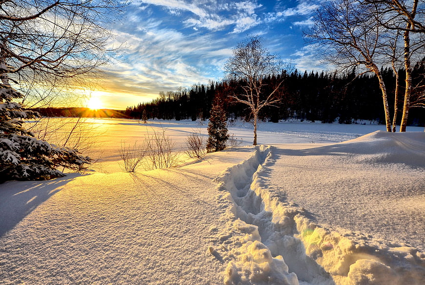 Winter sunset landscape with snow-covered ground and bare trees