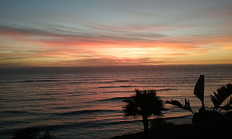 Silhouette of palm trees against a colorful ocean sunset