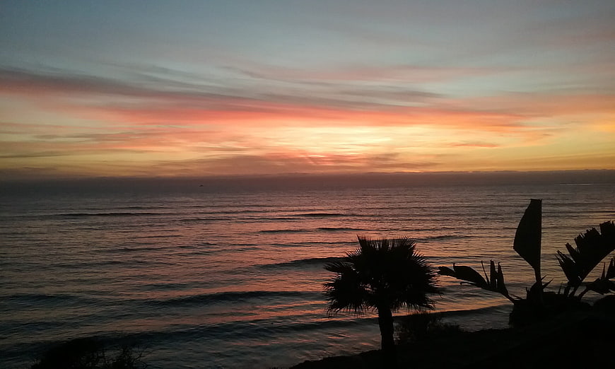 Silhouette of palm trees against a colorful ocean sunset