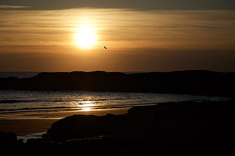 Golden Sunset Over Silhouetted Rocky Coastline with Bird