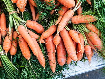 Fresh Organic Carrots with Green Tops at Farmers Market