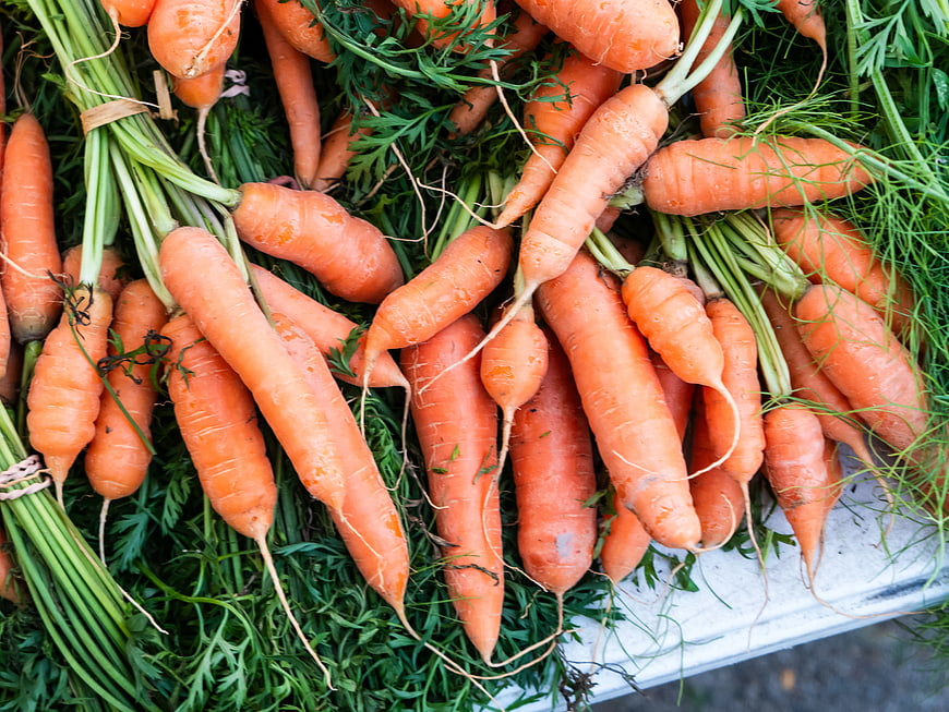Fresh Organic Carrots with Green Tops at Farmers Market