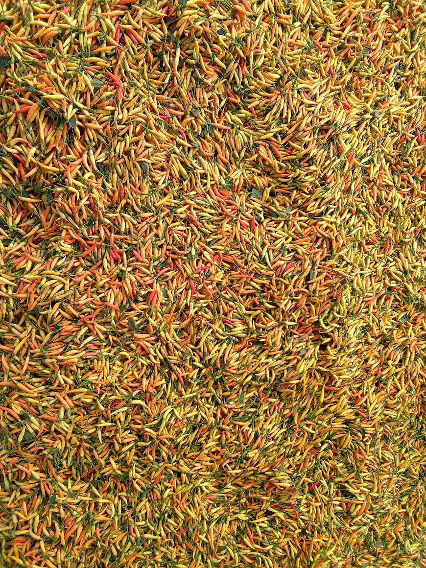 Top View of Drying Red and Yellow Chili Peppers