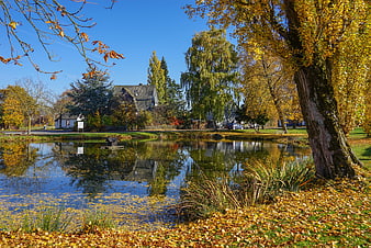 Autumn pond with golden leaves and village house reflection