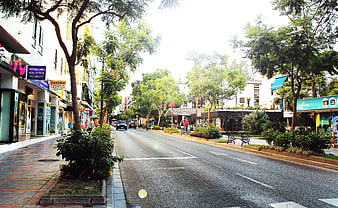 Tree-lined urban street with shops and pedestrians