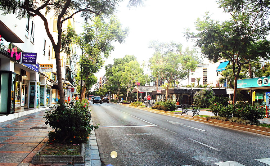 Tree-lined urban street with shops and pedestrians