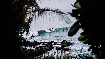 Surfers riding waves through tropical foliage frame