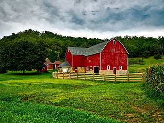 Red Barn Farmhouse In Green Pasture With Dramatic Cloudy Sky