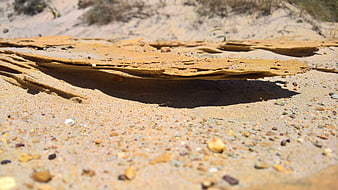 Close-up of layered sand crust on a sunny beach
