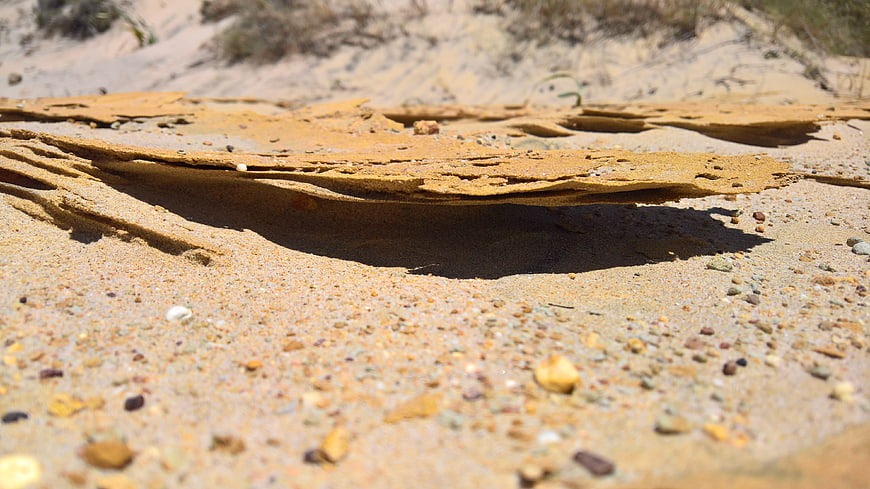 Close-up of layered sand crust on a sunny beach