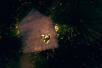 Heart-shaped cutout on paper tag hanging on a dark Christmas tree