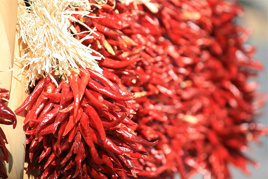 Bunch of dried red chili peppers hanging on a wooden wall