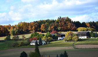 Scenic autumn landscape with farmhouses and colorful forest