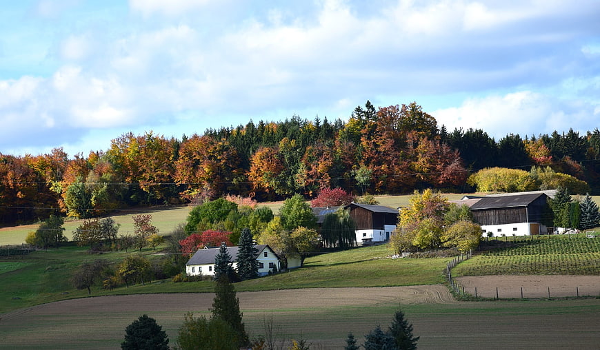 Scenic autumn landscape with farmhouses and colorful forest
