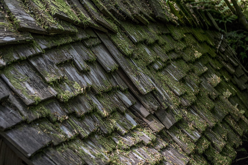 Close-up of mossy weathered wooden roof shingles texture