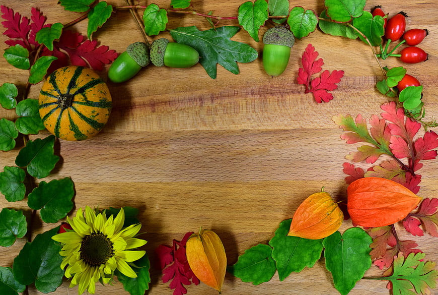 Autumn flat lay with pumpkin, sunflower, and leaves on wood