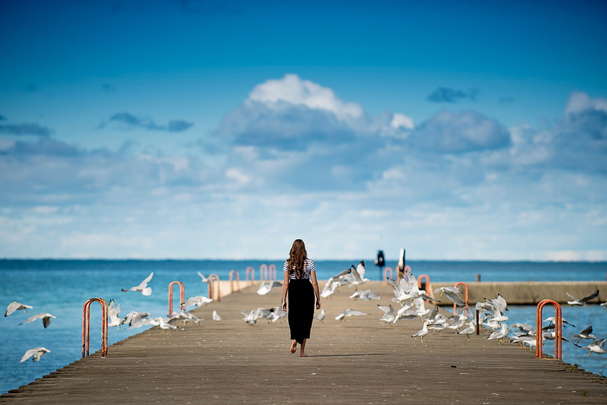 Woman Walking Away on Wooden Pier with Flying Seagulls