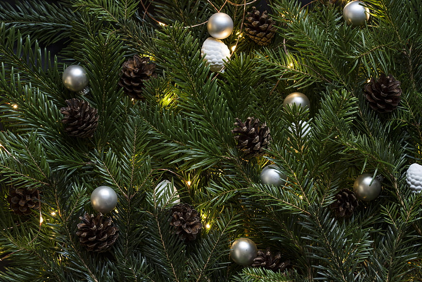 Close-up of Christmas tree branches with silver ornaments and pine cones