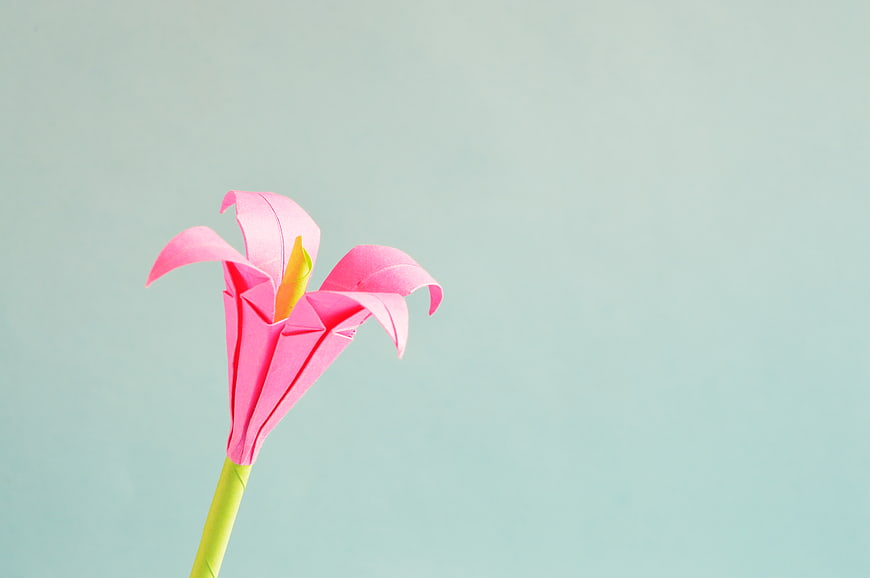 Pink Origami Lily on Pastel Blue Background