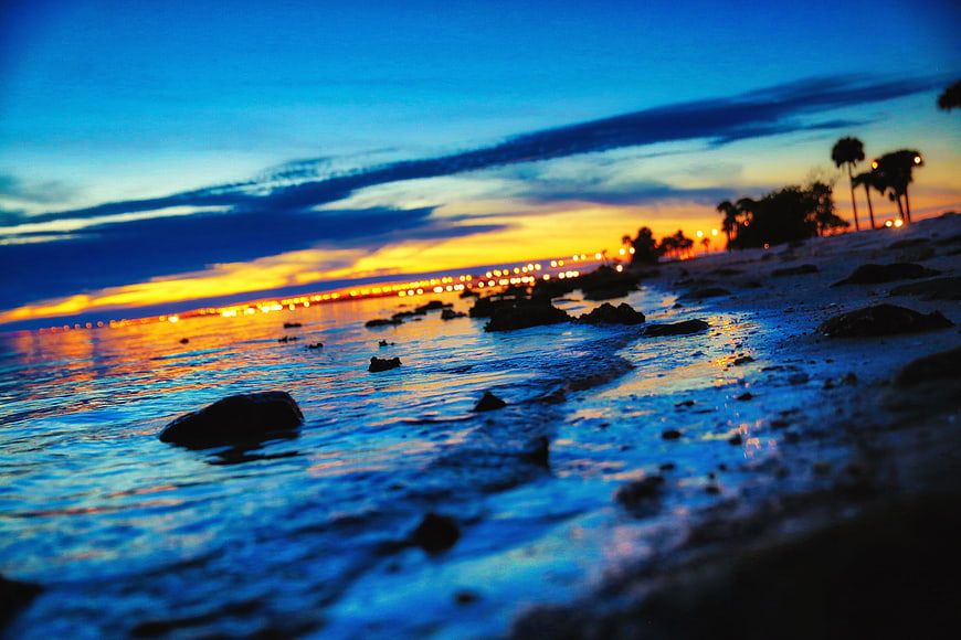 Low angle beach sunset with city lights and palm trees