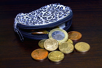 Leopard Print Coin Purse With Scattered Euro Coins On Dark Wood