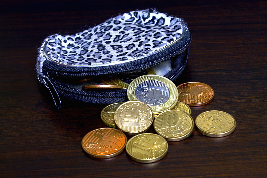 Leopard Print Coin Purse With Scattered Euro Coins On Dark Wood