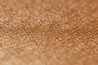 Close-up of textured gold metallic surface background