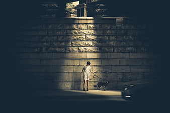 Woman Walking Dog at Night in Urban Street Light