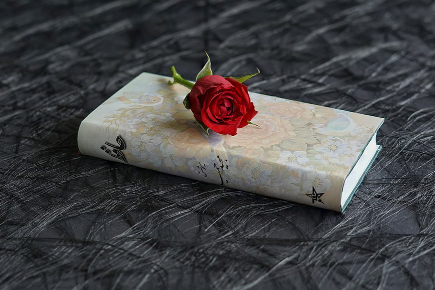 Red rose on Persian poetry book with floral cover