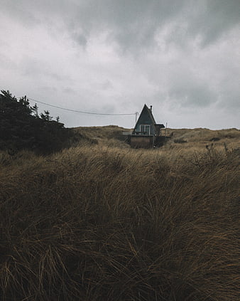 Solitary A-Frame Cabin in Coastal Dunes Under Overcast Sky