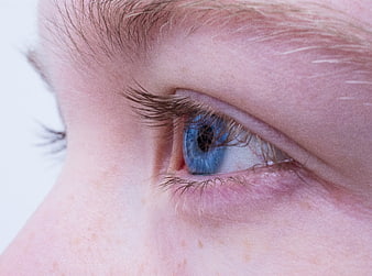Extreme Macro Close-Up of Blue Eye and Eyelashes