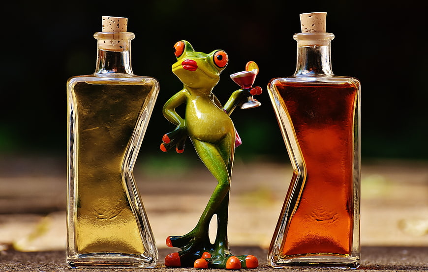 Funny frog figurine holding cocktail between two liquor bottles