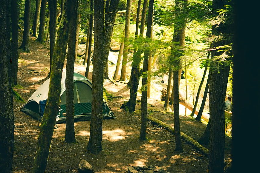 Gray Dome Tent in Sunlit Forest Campsite