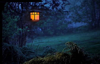 Glowing Japanese Lantern in Misty Twilight Garden