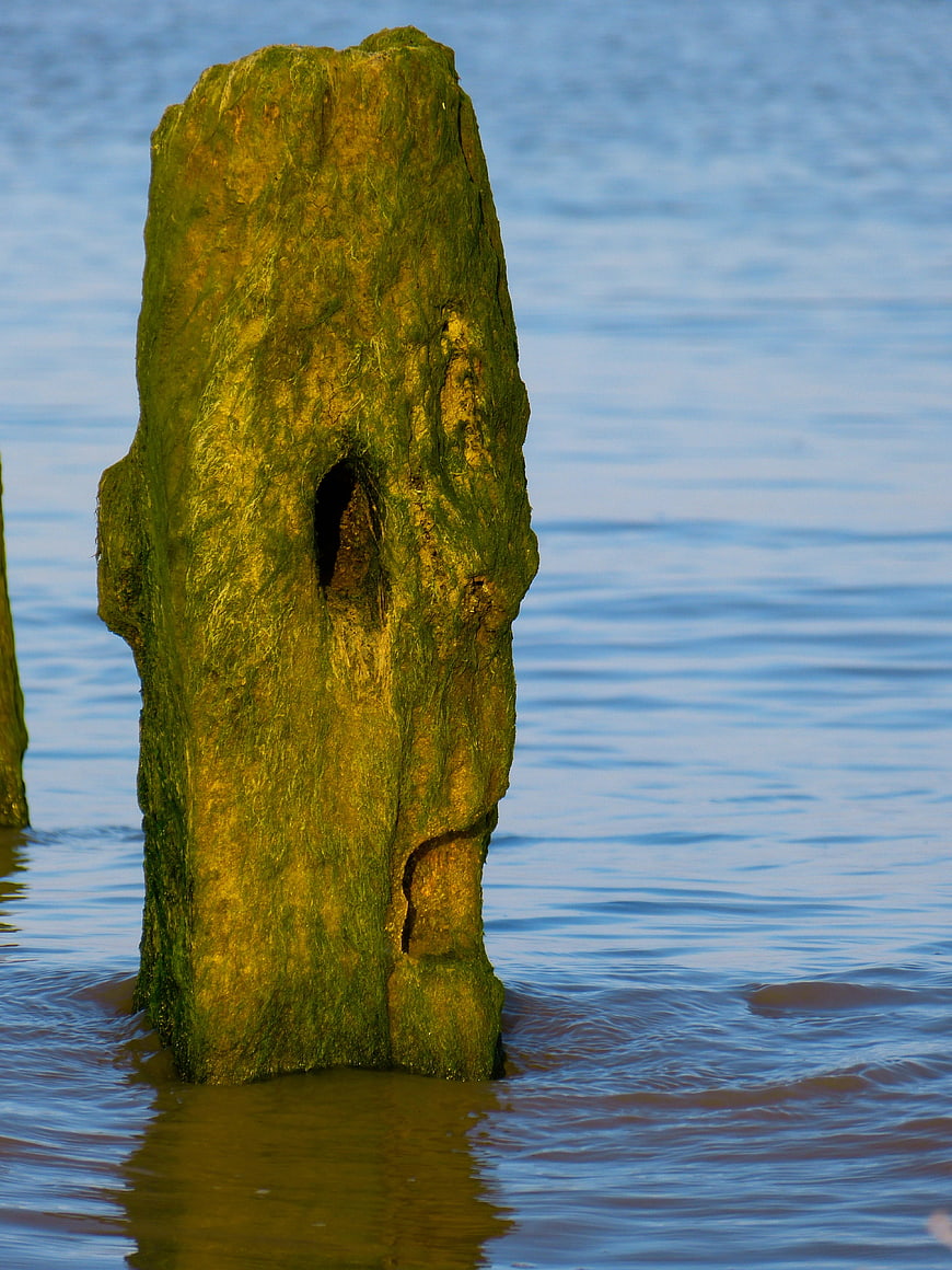 Weathered Mossy Wooden Post Standing in Calm Blue Water