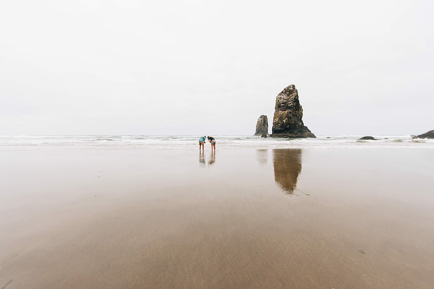 Two people exploring wet sandy beach with sea stacks