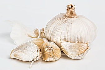 Fresh Garlic Bulb and Cloves on White Background