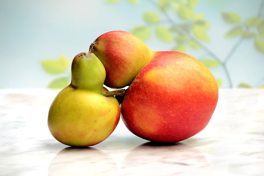 Cluster of Three Mutated Apples on White Surface