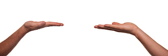 Two Open Hands Reaching Toward Each Other On White Background