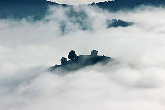 Misty Mountain Peak with Trees Emerging from Clouds