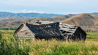 Dilapidated wooden barn in grassy field with mountains