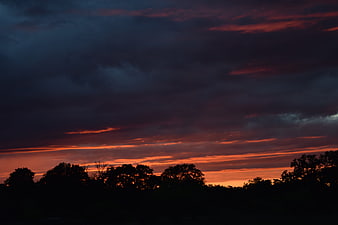 Dramatic sunset with fiery orange clouds over dark tree silhouette