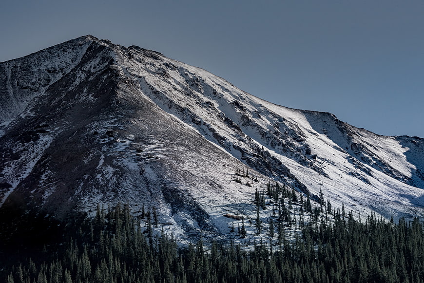 Snow-Capped Mountain Peak with Pine Forest Base