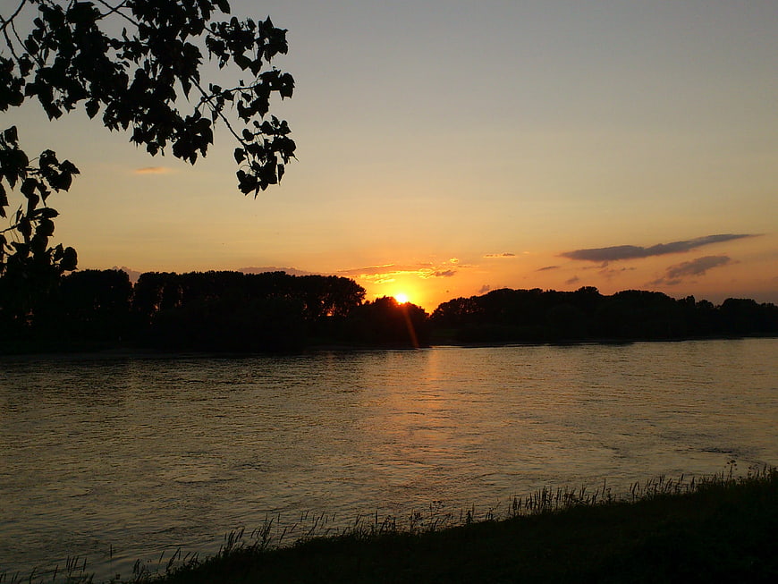 Serene Sunset Over River with Silhouetted Trees