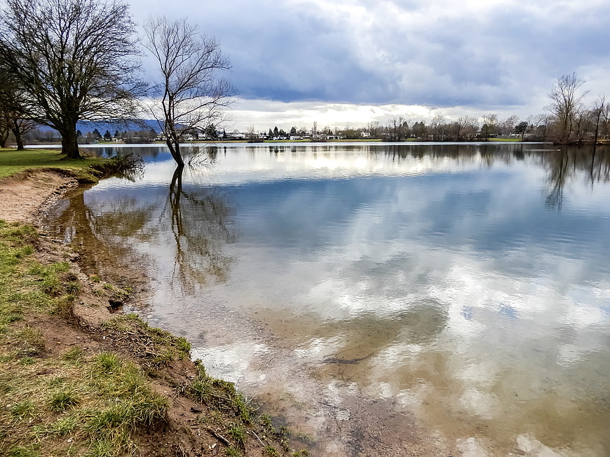 Serene Lake Landscape with Cloud Reflections and Bare Trees