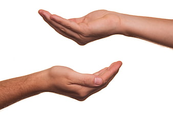 Two open hands reaching toward each other on white background