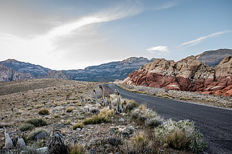 Paved road winding through desert landscape with red rock formations