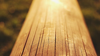 Close-up of wooden deck with sunlight and bokeh background